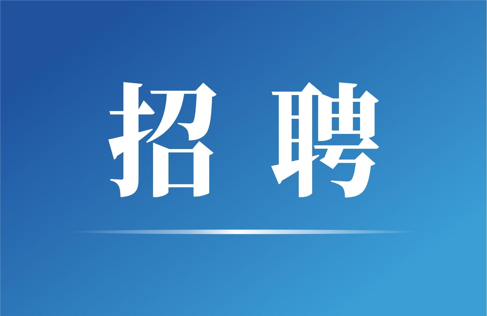 郑州智能科技职业学院2025年招聘公告